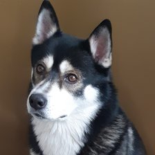 Схема вышивки «Ирчи»