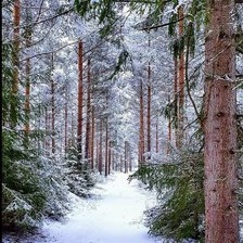 Схема вышивки «№2943881»