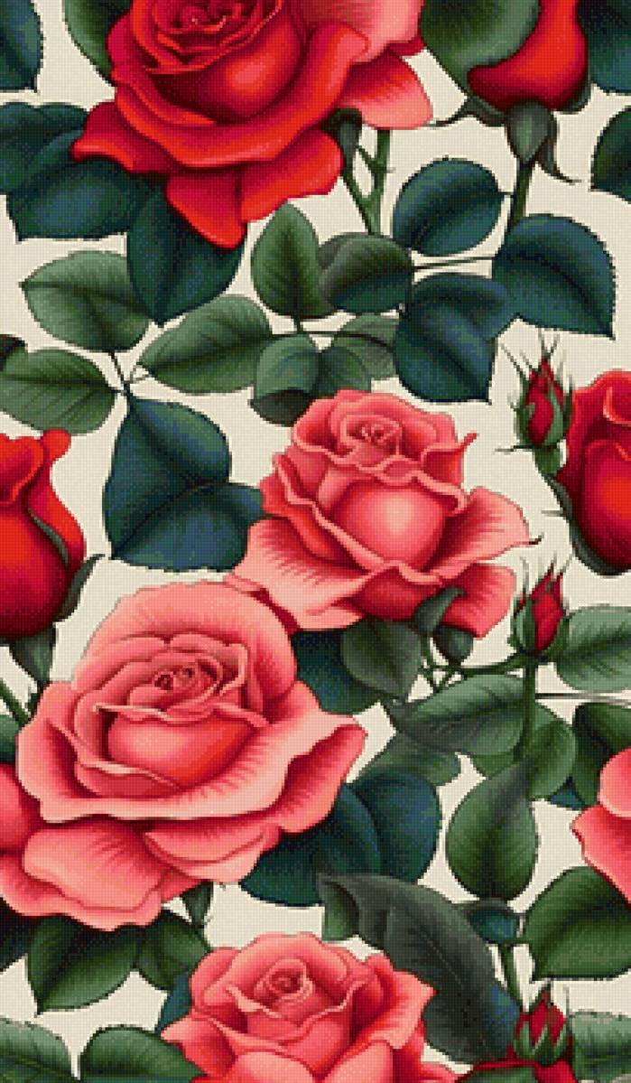 Розы - цветы, розы - предпросмотр