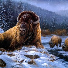 Схема вышивки «Зубр»