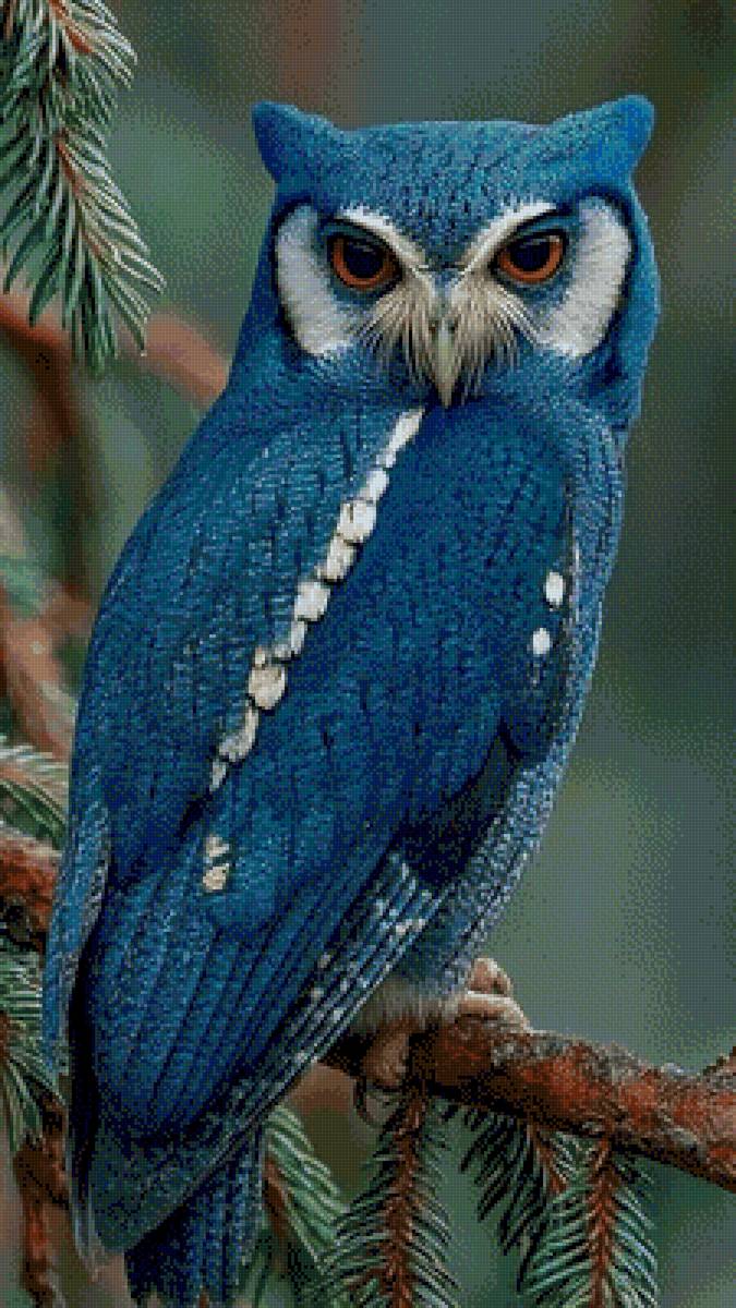 №2945343 - natura - предпросмотр