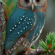 Схема вышивки «№2945344»