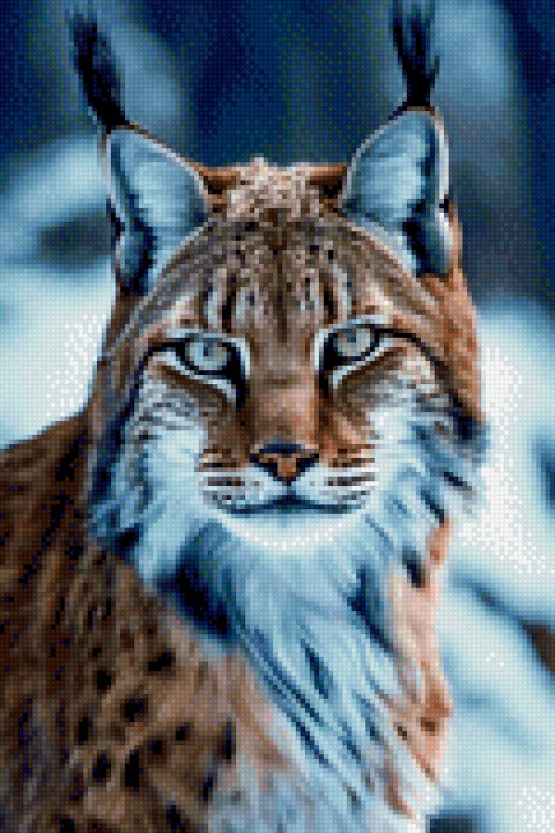 Портрет рыси - предпросмотр