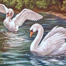 Схема вышивки «"Не стреляйте в белых лебедей!"»