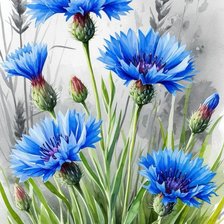 Схема вышивки «Васильки»