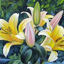 Схема вышивки «И грянули жёлтые лилии»