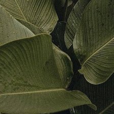 Оригинал схемы вышивки «№2947776»