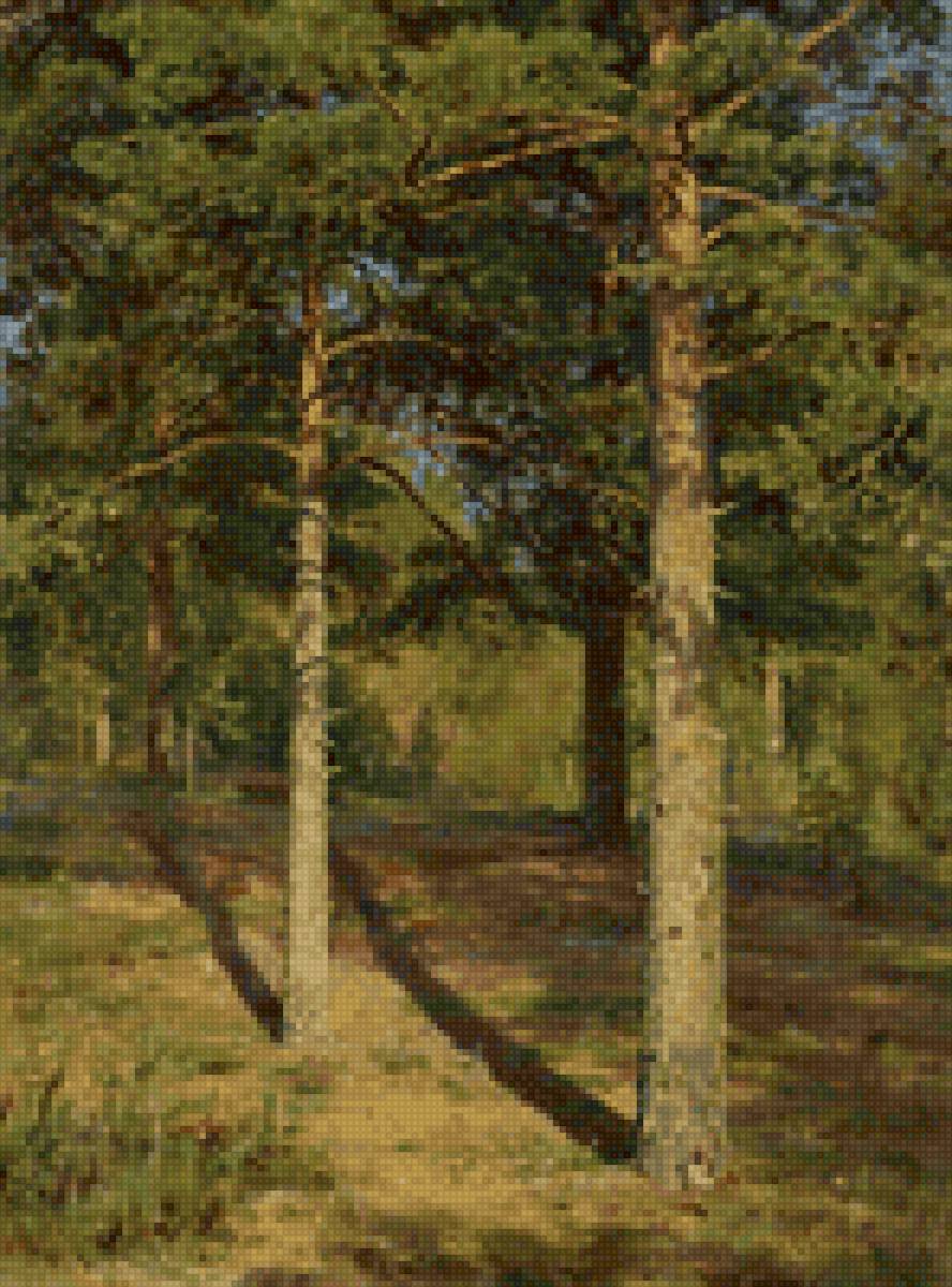 Сосны... 2 - предпросмотр