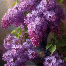 Оригинал схемы вышивки «იასამანი» (№2948000)