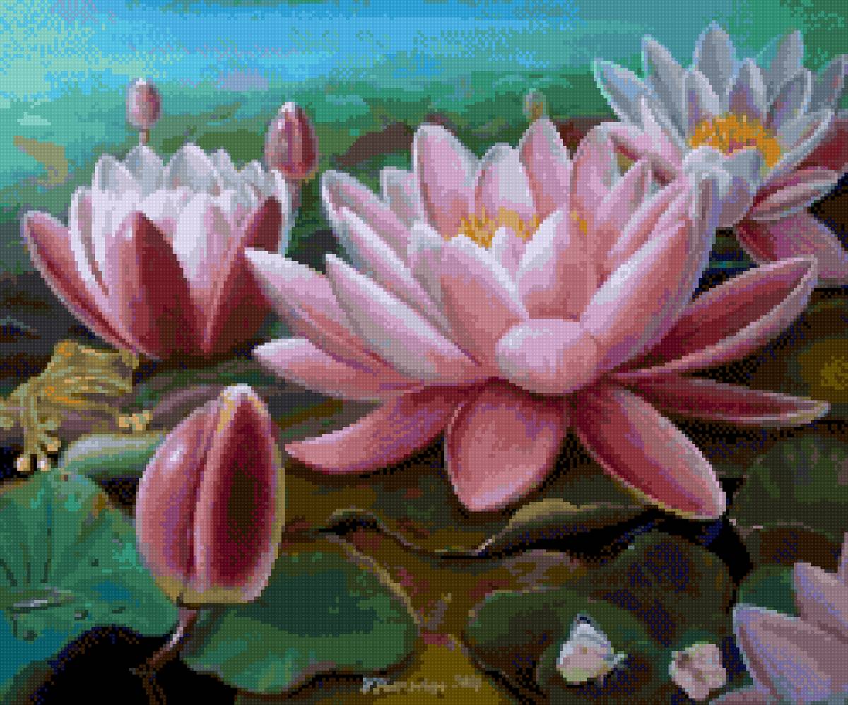 Лотос - красота, цветы, лотос - предпросмотр