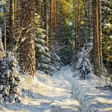 Зимний пейзаж