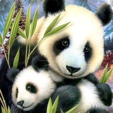 Схема вышивки «Пандочки»