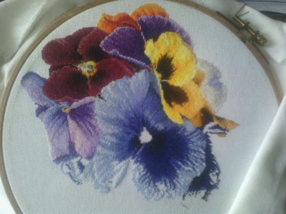 Этап процесса «435 Теа Гувернер «Анютки»»