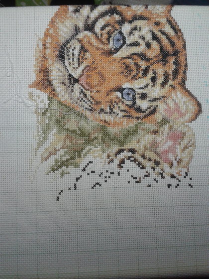 Этап процесса «Саванна. Кошачье семейство.»