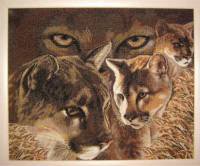 Этап процесса «Работа фирмы "Золотое Руно" "ВЗГЛЯД ПУМЫ"»