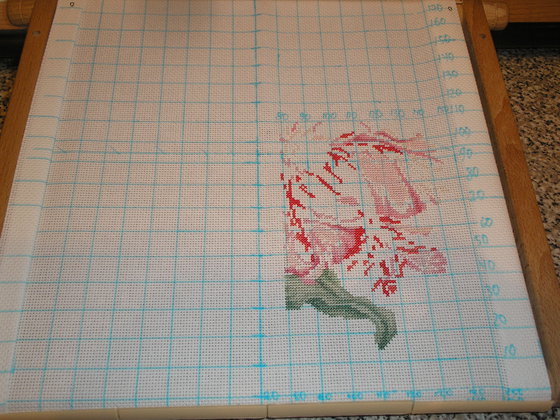 Этап процесса «Тюльпан»