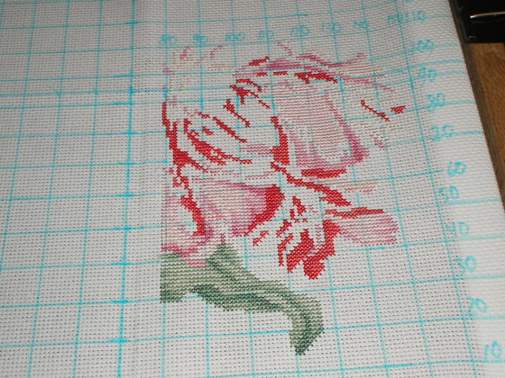 Этап процесса «Тюльпан»