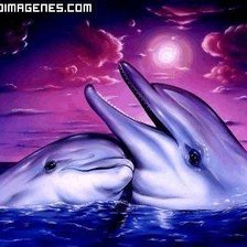 Процесс «delfines»