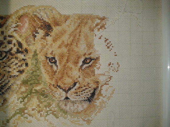 Этап процесса «Саванна. Кошачье семейство.»