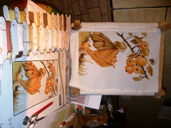 Этап процесса «Фея яблони, Luca-S»