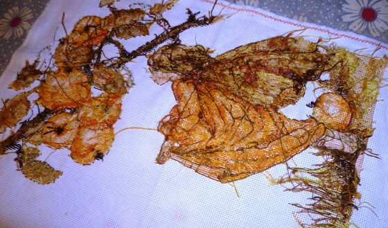 Этап процесса «Фея яблони, Luca-S»