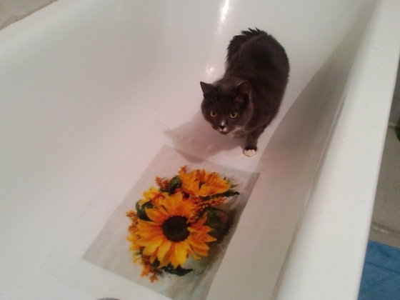 Этап процесса «Подсолнухи»