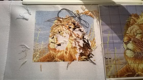 Этап процесса «Саванна»