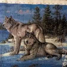 Процесс «Семейство волков»