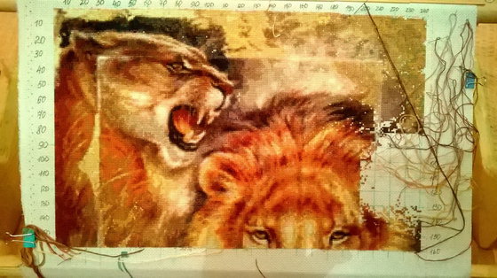 Этап процесса «Львы»