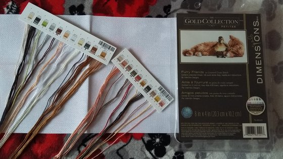 Этап процесса «Дружба»