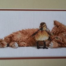 Процесс «Дружба»