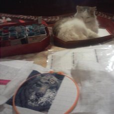 Этап процесса «Тигр и эльф»