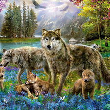 Процесс «Семья волков 60 цветов»