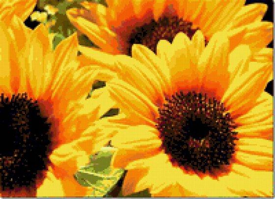 Этап процесса «подсолнухи»