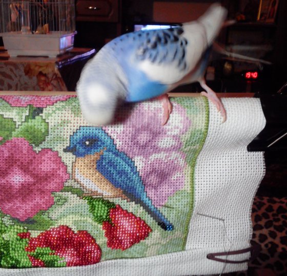 Этап процесса «МАЛЬВА»