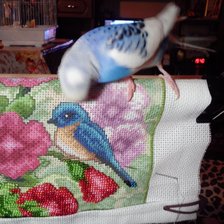 Процесс «МАЛЬВА»