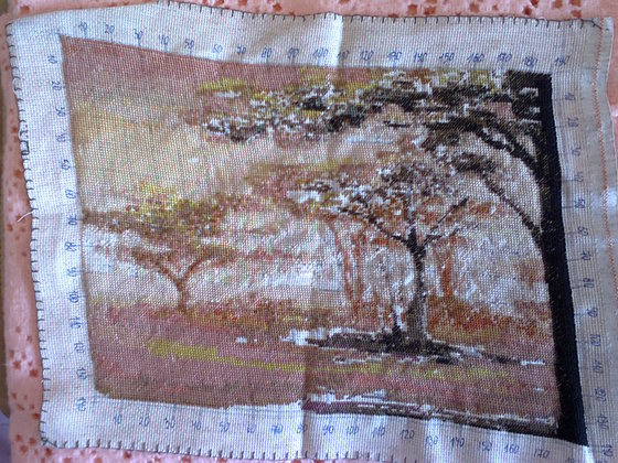 Этап процесса «Fiesta africana»