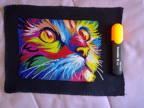 Этап процесса «Радужный кот»