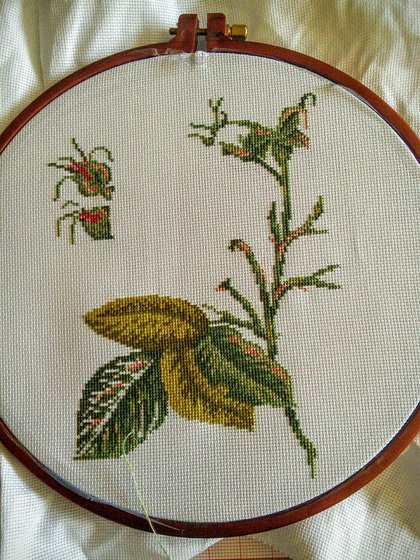 Этап процесса «Мои отдыхалочки помимо основной работы»