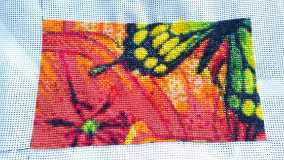 Этап процесса «бабочки и лилии»