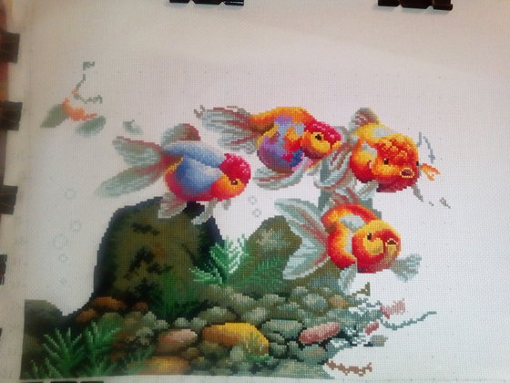 Этап процесса «Colorful fish «DOME»»
