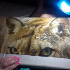 Процесс «№1750»