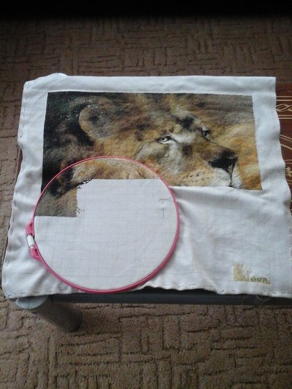 Этап процесса «Львы»