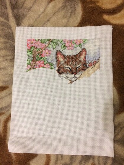 Этап процесса «Сладких снов»