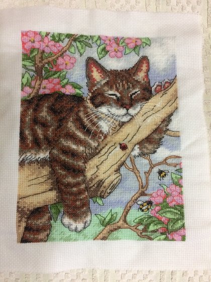 Этап процесса «Сладких снов»