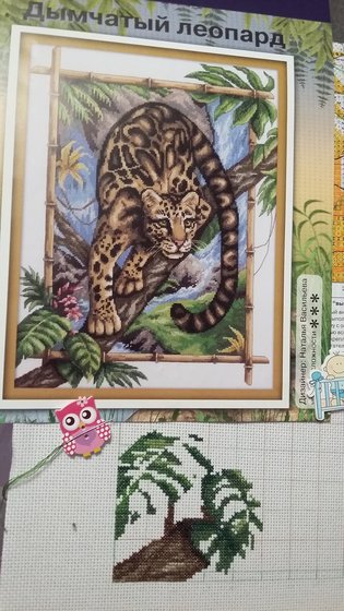 Этап процесса «Дымчатый леопард»