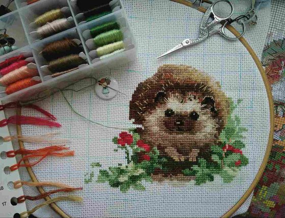 Этап процесса «Ежики в бруснике "Риолис"»