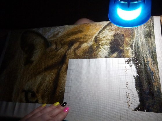 Этап процесса «Пума»