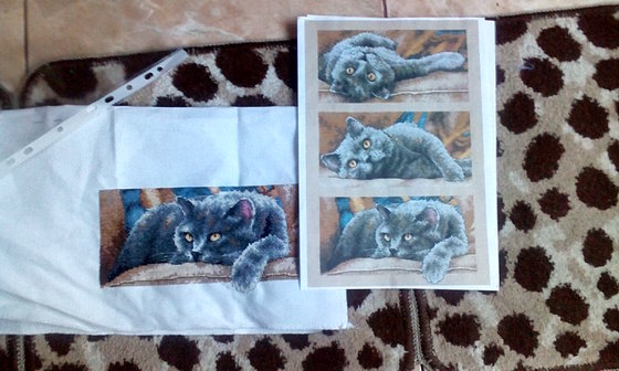 Этап процесса «кот»