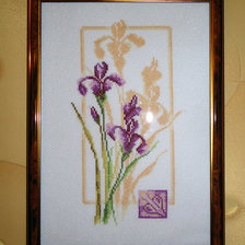 Процесс «Отражение ириса (набор Золотое руно).»